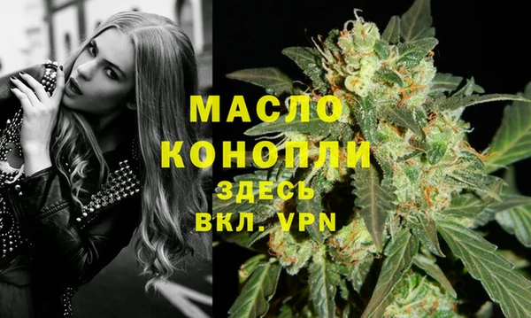 гидра Абаза