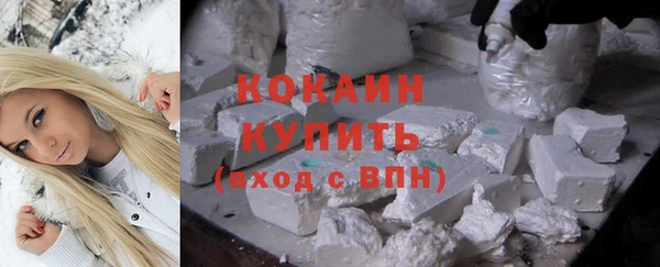 гидра Абаза