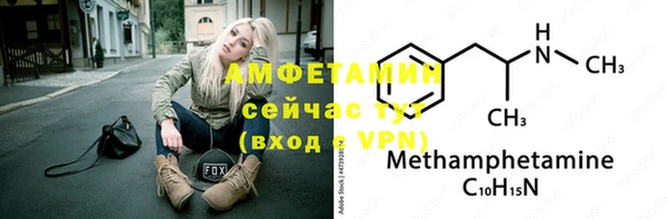 гидра Абаза