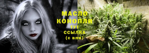 гидра Абаза