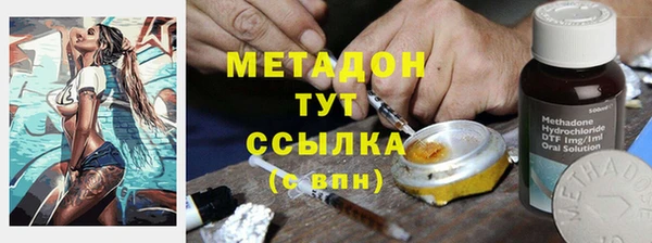 гидра Абаза
