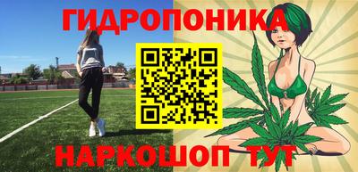 индика Конаково