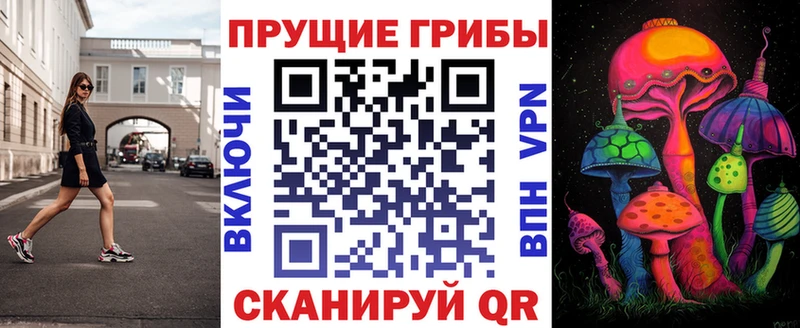 Псилоцибиновые грибы прущие грибы  Моршанск 