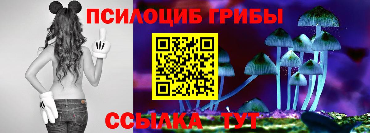Псилоцибиновые грибы мухоморы Моршанск