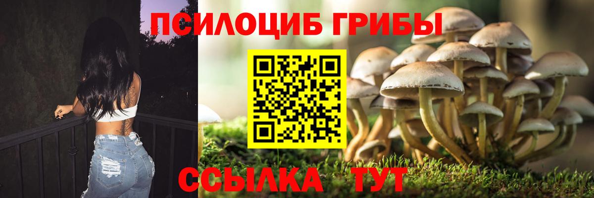 Псилоцибиновые грибы Cubensis  Вход с VPN  закладка  Моршанск 